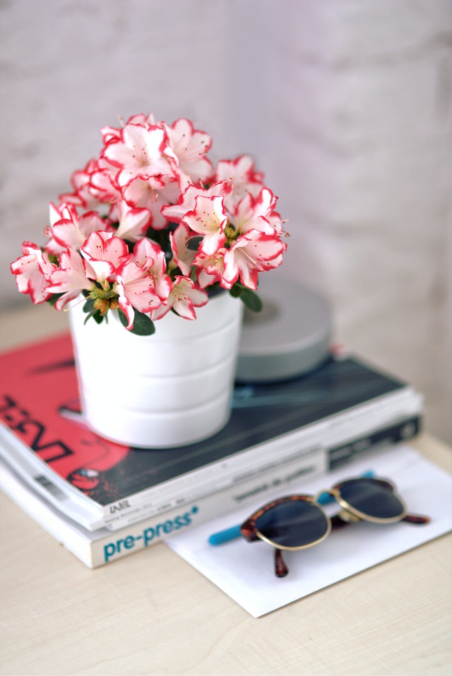 Pink Flowers
